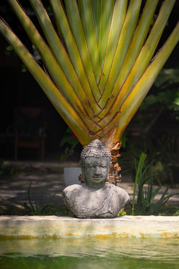 Ekaa Hotel بالومينو المظهر الخارجي الصورة
