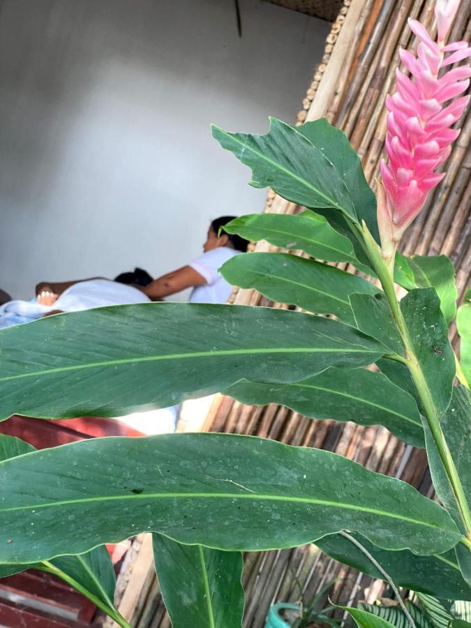 Ekaa Hotel بالومينو المظهر الخارجي الصورة